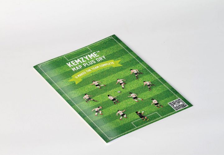 Kemin Brochure Design