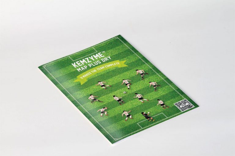 Kemin Brochure Design